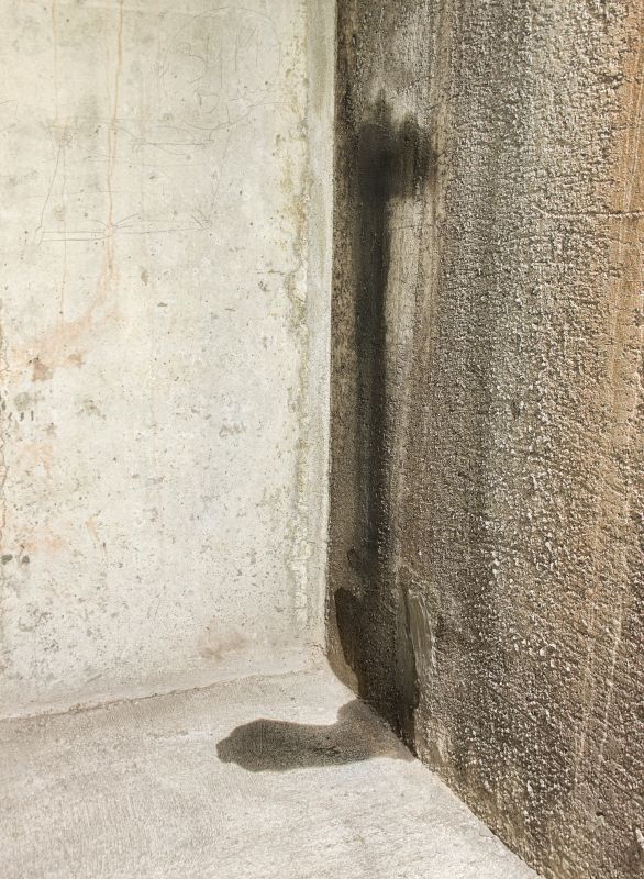 Foundation Leak Repair in Tampa, FL